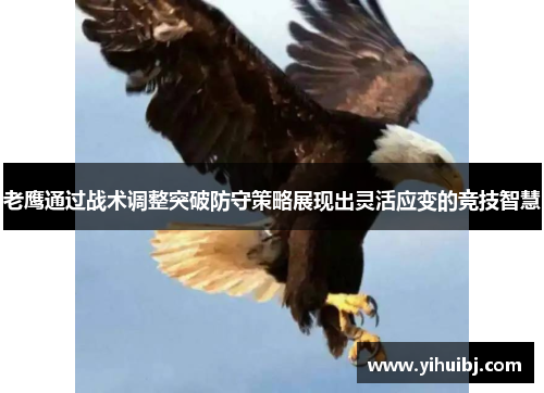 老鹰通过战术调整突破防守策略展现出灵活应变的竞技智慧