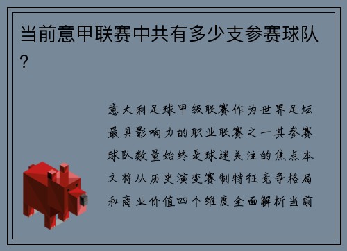 当前意甲联赛中共有多少支参赛球队？